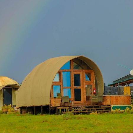Amanya 1 -Bed King Lion Tent 安博塞利 外观 照片